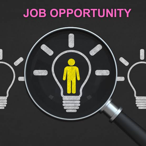Internship Image